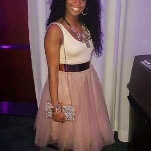 Tulle Lined Blush Skirt